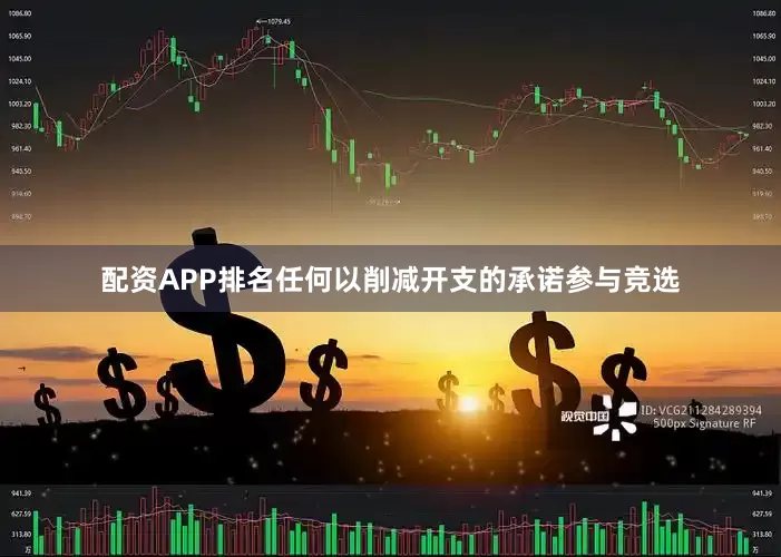 配资APP排名任何以削减开支的承诺参与竞选