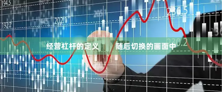 经营杠杆的定义        随后切换的画面中
