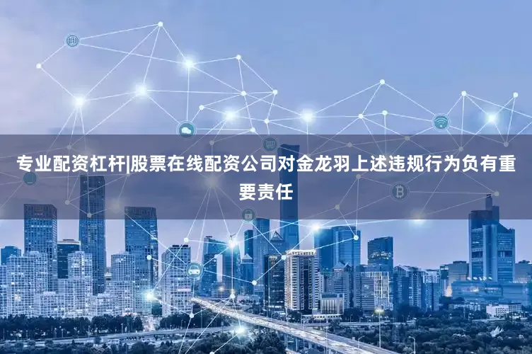 专业配资杠杆|股票在线配资公司对金龙羽上述违规行为负有重要责任