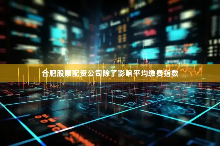 合肥股票配资公司除了影响平均缴费指数